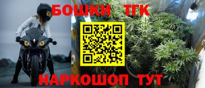 индика Бердск