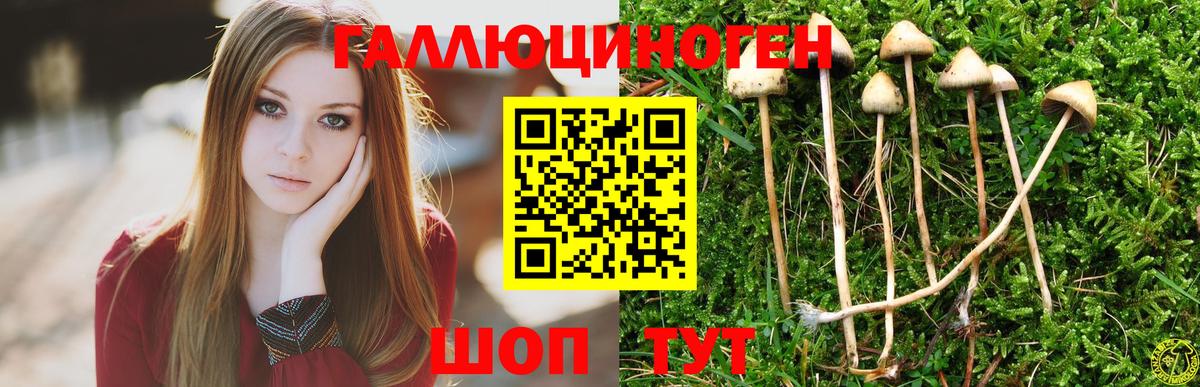 Петропавловск-Камчатский  Галлюциногенные грибы GOLDEN TEACHER  Вход с VPN 