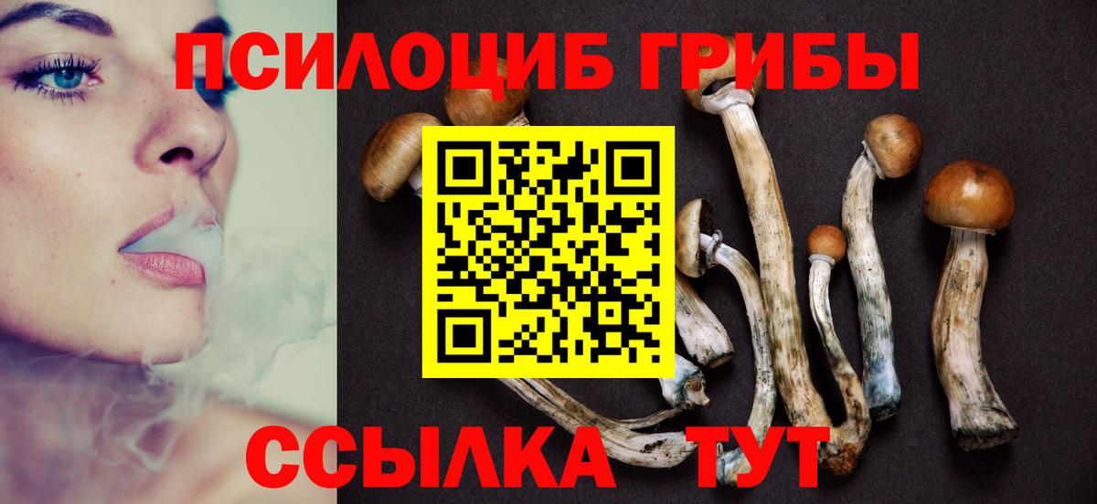 Галлюциногенные грибы прущие грибы Петропавловск-Камчатский